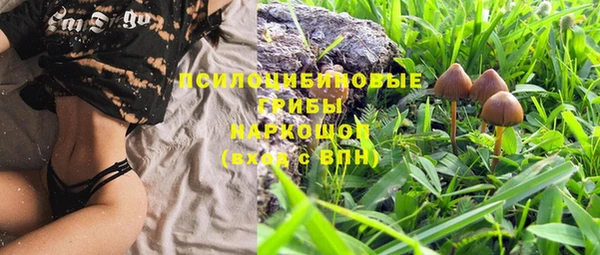 кокс Аркадак
