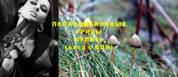 молекула духа Армянск