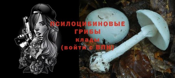 кокс Аркадак