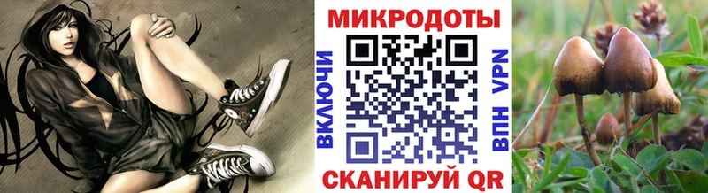 закладки  Бабушкин  omg рабочий сайт  Галлюциногенные грибы Magic Shrooms 